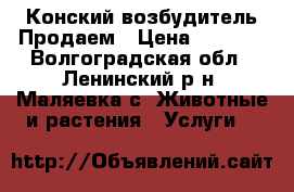 Конский возбудитель Продаем › Цена ­ 2 000 - Волгоградская обл., Ленинский р-н, Маляевка с. Животные и растения » Услуги   